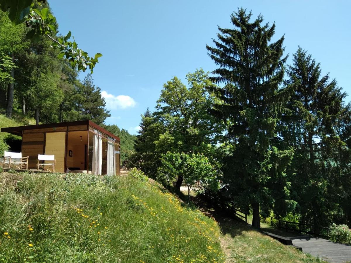 Suxen Nature Experience - Lodge Con Vista Panoramica Prepotto  Exteriör bild
